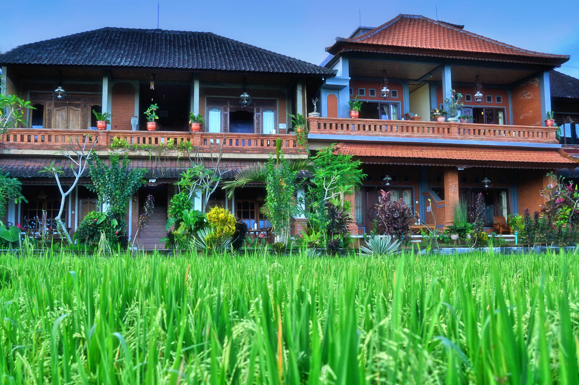 Danasari Homestay Ubud Exterior foto